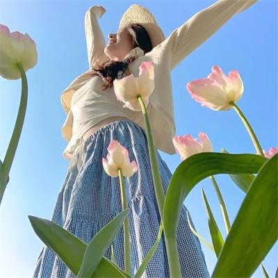 一棵树